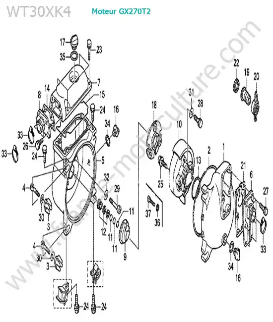 Pompe HONDA WT30XK-4