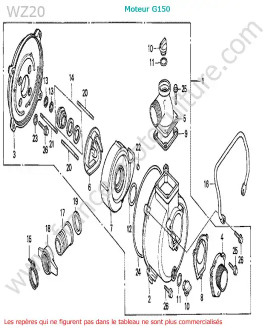 Pompe HONDA WZ20