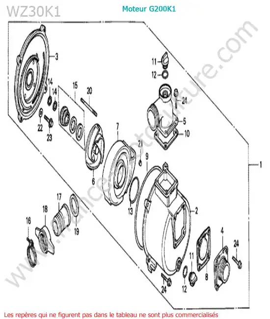 Pompe HONDA WZ30-2