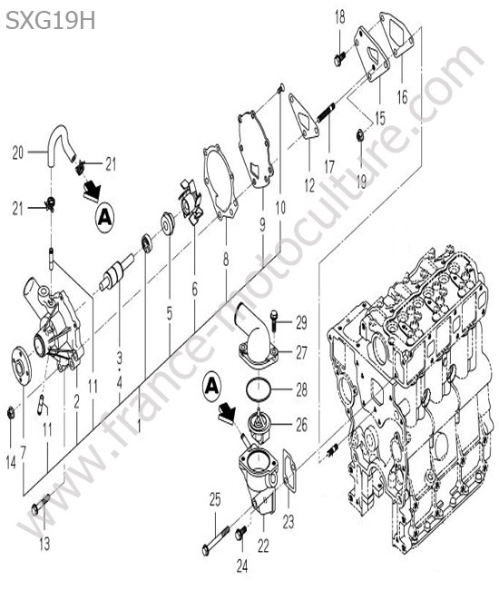 Pompe eau - thermostat ISEKI SXG19