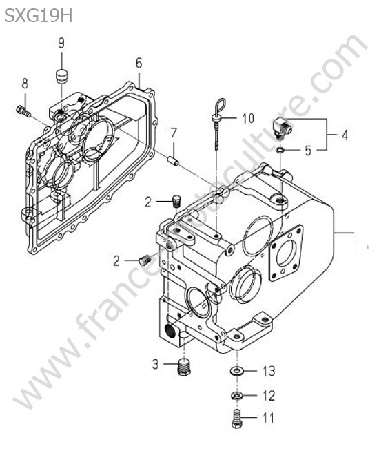 Carter transmission ISEKI SXG19