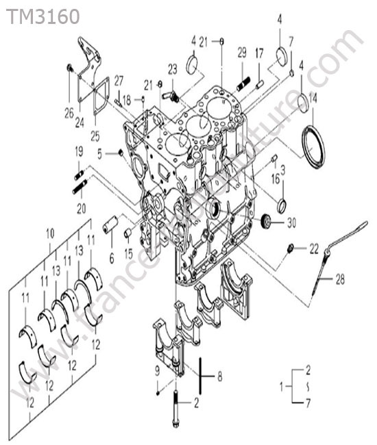 Bloc moteur ISEKI TM3160