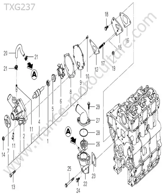 Pompe a eau / thermostat ISEKI TXG237