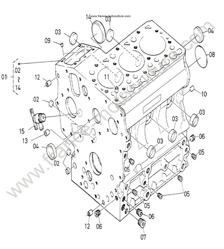 Bloc moteur KUBOTA F1900