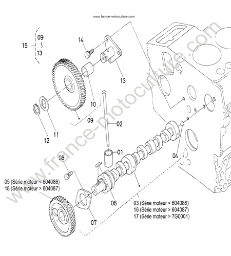 Arbre a cames KUBOTA G1900