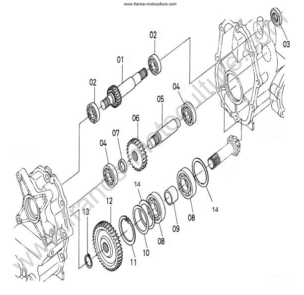 Transmission - Arbre pignon KUBOTA G21