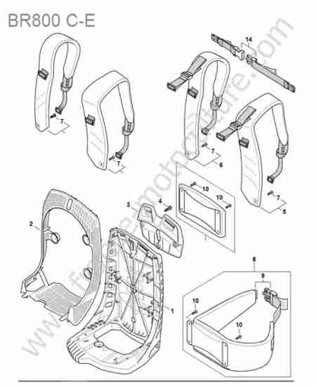 STIHL - BR800 : Harnais