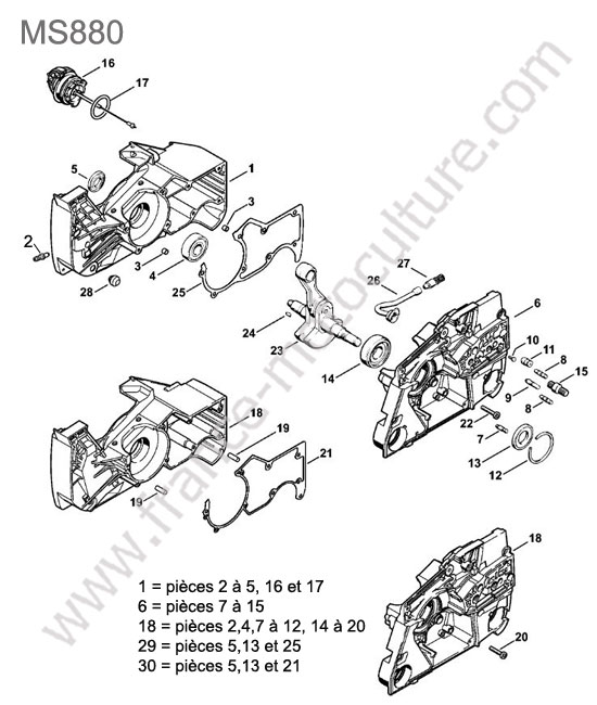 Villebrequin STIHL MS880