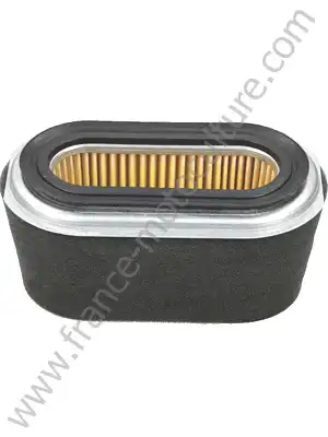 FILTRE A AIR F420/F460/F506/F510/F560/F660/FR650/FR750