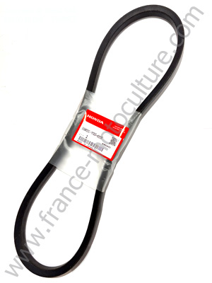 COURROIE F360