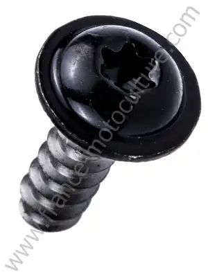 Vis