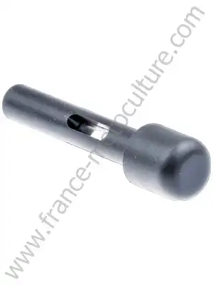 Bouton