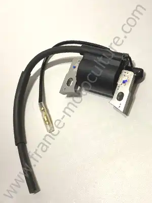 BOBINE ALLUMAGE TF80