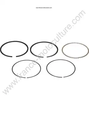 JEU DE SEGMENT PISTON W721J