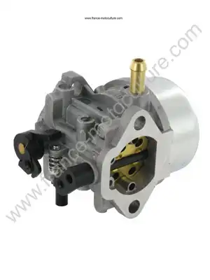 CARBURATEUR W721-J