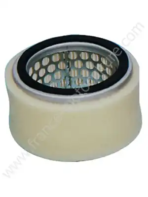 FILTRE A AIR T250/T350