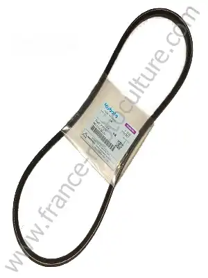 COURROIE POMPE EAU/VENTILATEUR B1550/B1750