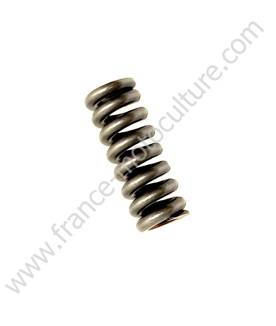 RESSORT INJECTEUR B1820/B2100/B2230/BX2200/F3060/G23/GR1600