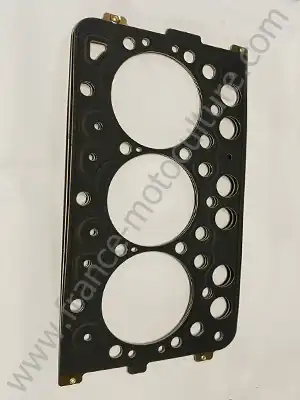 KUB45481