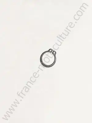 Circlip