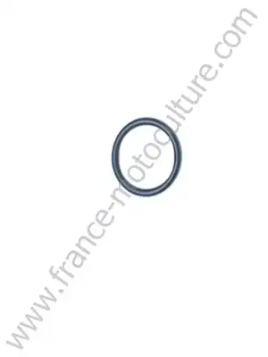 Joint torique echo cs303