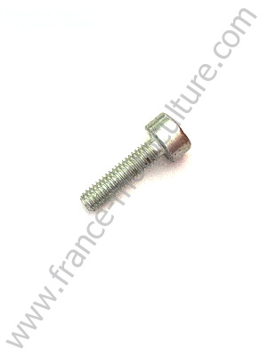Vis cylindrique