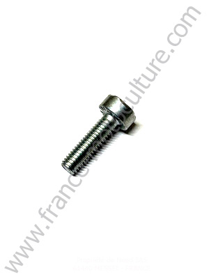 Vis cylindrique