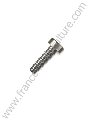 Vis cylindrique