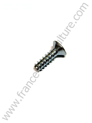 Vis taraud p6x20