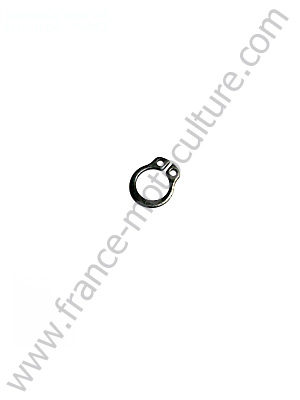 Circlips