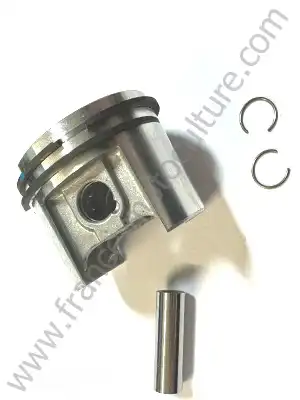 PISTON COMPLET MS170/017
