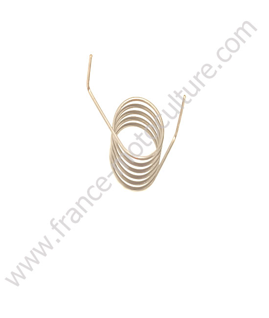 RESSORT CLIQUET FS56-C/HL94/FR125
