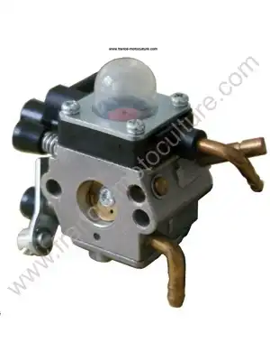 Carburateur c1q-s110