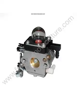 CARBURATEUR C1Q-S54B